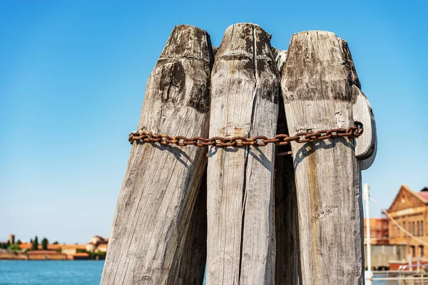 Lagoa Veneza Close Grupo Grandes Postes Madeira Implantados Fundo Mar — Fotografia de Stock