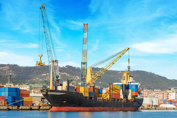 黒と赤の係留コンテナ船とクレーンとラ スペツィア湾の国際港 リグーリア イタリア ヨーロッパ — ストック写真