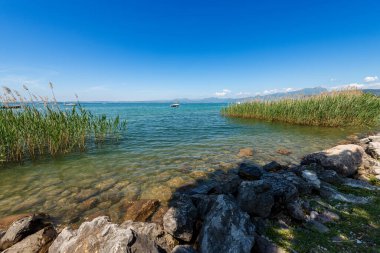 Garda Gölü 'nün (Lago di Garda) güzel kıyı şeridi, Lazise, Bardolino ve Cisano köyü yakınlarındaki yeşil sazlıklar, Verona, Veneto, İtalya ve Avrupa' daki turistik tatil beldeleri.