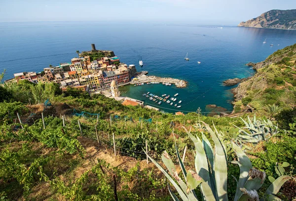 Vue Aérienne Célèbre Village Vernazza Mer Ligure Depuis Colline Cinque — Photo