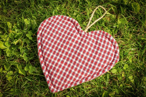牧草地の緑の草の上に布で作られた赤 青の心のクローズアップ — ストック写真