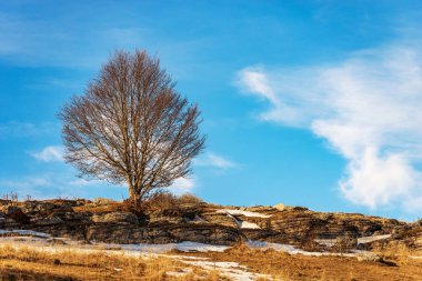 Lessinia Plato (Altopiano della Lessinia), Regional Natural Park, Veneto, Verona, Erbezzo, İtalya, Avrupa.