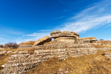Lessinia Plato 'da (Altopiano della Lessinia) güzel rock karst oluşumları, Verona Eyaleti Bölgesel Doğal Parkı, Erbezzo, Veneto, İtalya, Avrupa.