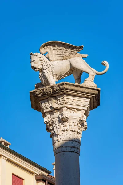 Column Winged Lion Saint Mark Leone San Marco Leone Marciano — Stock Photo, Image