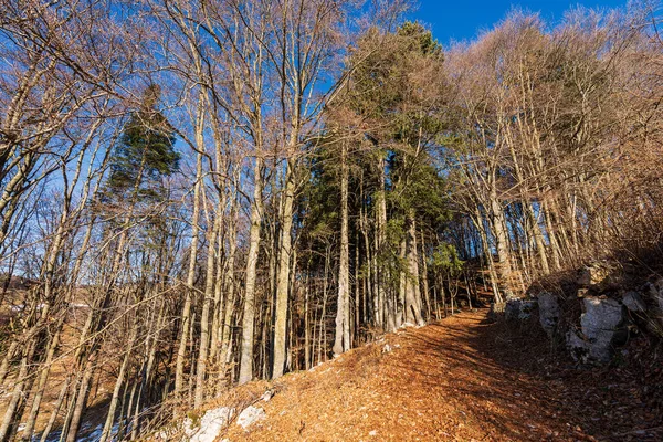 Wanderweg Winter Auf Der Hochebene Von Lessinia Altopiano Della Lessinia — Stockfoto