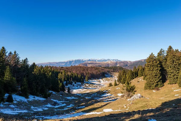 Зимовий Пейзаж Плато Лессінія Altopiano Della Lessinia Гірський Хребет Монте — стокове фото