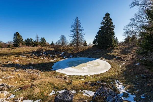 Kleiner Zugefrorener See Für Kühe Auf Der Hochebene Von Lessinia — Stockfoto