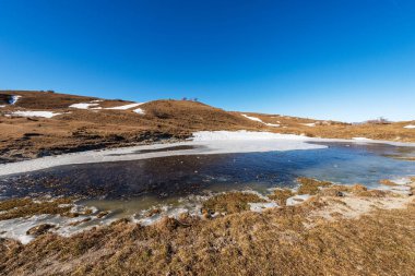 Lessinia Plateau Bölgesel Doğal Parkı (Altopiano della Lessinia). Kışın inekler ve kahverengi otlaklar için küçük donmuş gölet, Erbezzo belediyesi, Verona ili, Veneto, İtalya, Avrupa.