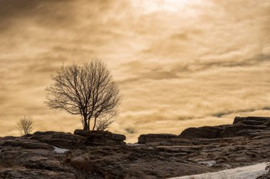 Lessinia Plateau Bölgesel Parkı (Altopiano della Lessinia), Bosco Chiesanuova belediyesi, Verona, Veneto, İtalya, Avrupa.