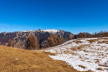 Lessinia Plateau Bölgesel Doğal Parkı (Altopiano della Lessinia) ve Monte Carega 'nın dağ zirvesi (küçük Dolomitler). Bosco Chiesanuova, Verona ili, Veneto ve Trentino, İtalya, Avrupa.