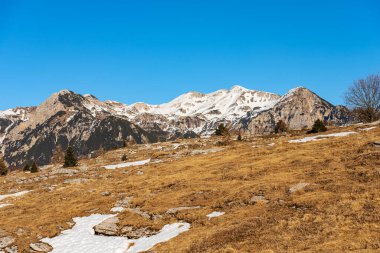 Lessinia Plateau Bölgesel Doğal Parkı (Altopiano della Lessinia) ve Monte Carega 'nın dağ zirvesi (küçük Dolomitler). Bosco Chiesanuova, Verona ili, Veneto ve Trentino, İtalya, Avrupa.