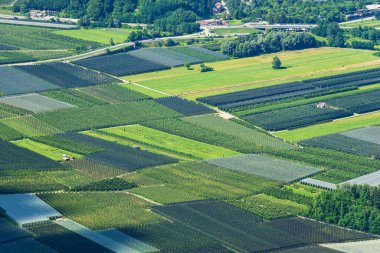 Yaz mevsiminde Valsugana veya Sugana Vadisi 'nde, Caldonazzo Gölü ile Levico Gölü, Trentino Alto Adige, İtalya ve Avrupa arasındaki ovadaki elma bahçelerinin hava manzarası..