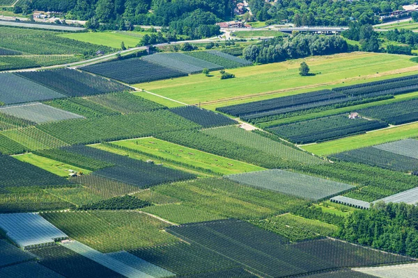 Aerial View Apple Orchards Hail Netting Summer Valsugana Sugana Valley — Stock Photo, Image