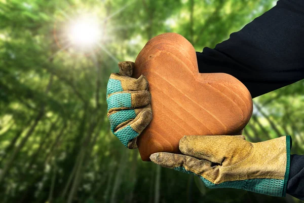 Pracownik Fizyczny Rękawiczkach Ochronnych Trzymający Brązowe Drewniane Serce Zielonym Lesie — Zdjęcie stockowe