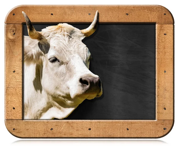 Tableau Noir Avec Cadre Rectangulaire Bois Tête Vache Blanche Génisse — Photo