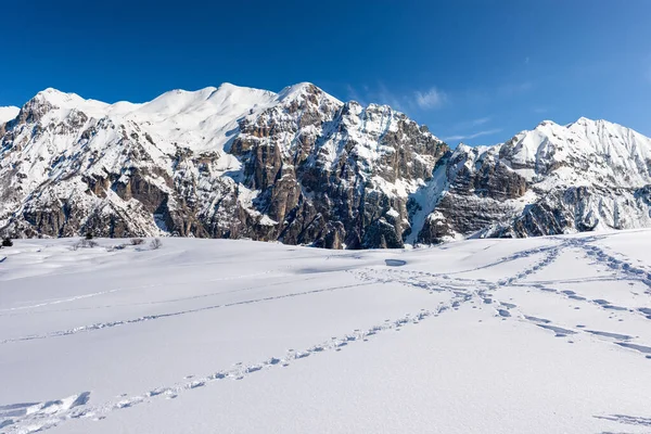 İtalyan Alplerinde karlı dağ zirveleri. Kışın Monte Carega Dağı (Küçük Dolomitler) ve Lessinia Platosu (Altopiano della Lessinia). Veneto ve Trentino Alto Adige, İtalya, Avrupa.