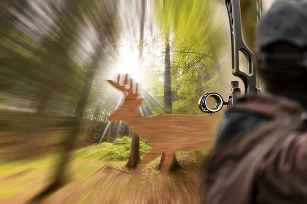 An archer, with his compound bow (hunting bow) aims at a silhouette of a fake wooden deer in the woods.