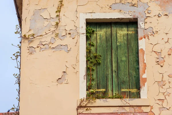 Primer Plano Una Antigua Ventana Con Persianas Madera Verde Edificio —  Fotos de Stock