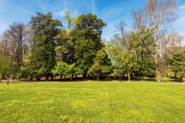 Treviso, İtalya ve Avrupa 'nın küçük bir kasabası olan Oderzo' da baharda güzel güneşli bir halk parkı..