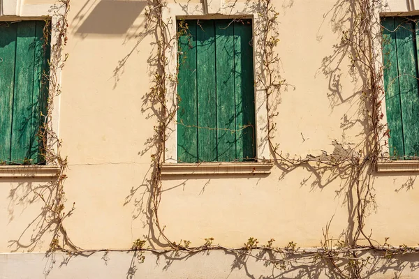 Primer Plano Tres Ventanas Antiguas Con Persianas Madera Verde Edificio — Foto de Stock