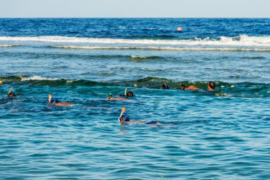 Bir grup insan Marsa Alam, Mısır, Afrika yakınlarındaki Kızıldeniz 'deki mercan resifi üzerinde şnorkelle yüzüyor..