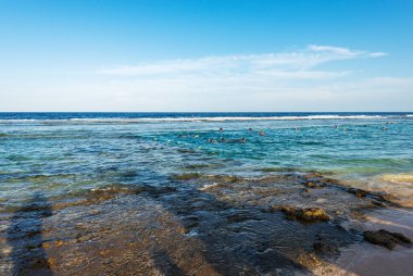 Bir grup insan, Marsa Alam, Mısır, Afrika yakınlarındaki Kızıldeniz 'deki mercan resifi üzerinde şnorkelle yüzüyorlar. Deniz manzarası ve dalgalar mercan resiflerinde ve kayalıklarda kırılıyor..