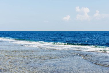 Bir grup insan, Marsa Alam, Mısır, Afrika yakınlarındaki Kızıldeniz 'deki mercan resifi üzerinde şnorkelle yüzüyorlar. Deniz manzarası ve dalgalar mercan resiflerinde ve kayalıklarda kırılıyor..
