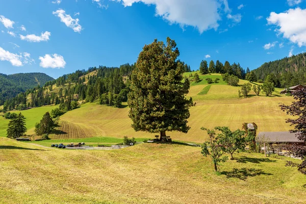 Talya Alpler Braies Veya Prags Valley Val Braies Prag Belediyesi — Stok fotoğraf