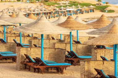 Marsa Alam, Sahra Çölü, Mısır, Afrika yakınlarında bir grup saman şemsiyesi ve şezlongla Kızıl Deniz 'in kumsal sahili..