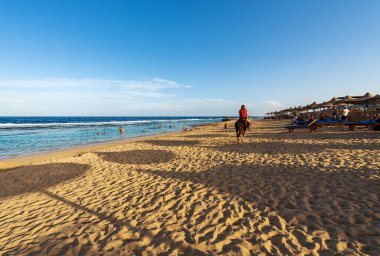 MARSA ALAM, EGYPT - 1 Kasım 2018: Marsa Alam, Mısır, Afrika yakınlarındaki Kızıldeniz plajı. Diğer turistler güneşli bir günde denizde yüzerken ya da şnorkelle yüzerken kumlu sahilde kahverengi ata binen genç bir kız..
