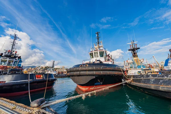 Grupo Remolcadores Amarrados Puerto Internacional Spezia Mar Mediterráneo Golfo Spezia —  Fotos de Stock