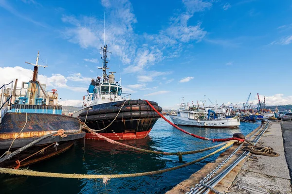 Grupo Remolcadores Barcos Pesca Puerto Internacional Spezia Mar Mediterráneo Golfo —  Fotos de Stock