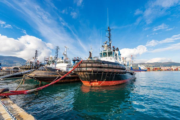 Group of tugboats moored in the international port of La Spezia, Mediterranean sea, Gulf of La Spezia, Liguria, Italy, Europe.