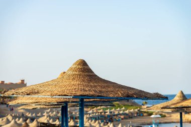 Bir grup saman plajı şemsiyesi. Marsa Alam, Sahra Çölü, Mısır, Kuzey Afrika yakınlarındaki Kızıl Deniz kıyısında plaj tatili.