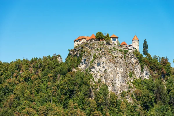 Medieval Bled Castle Blejski Grad Century Coast Lake Bled Sunny — Stock Photo, Image