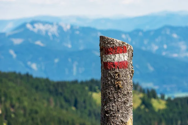 Close-up of a red and white trail sign (trail marker) painted on a pine tree trunk, with blurred mountain landscape in the background. Alps, Austria, Europe.