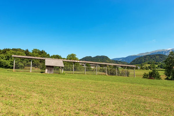 Old Traditional Wooden Barn Vertical Hay Rack Kozolec Hayrack Green — 스톡 사진