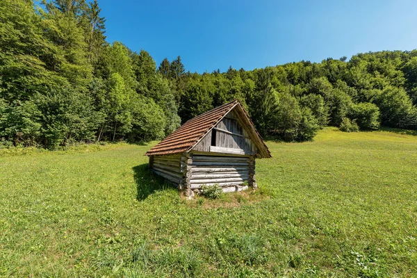 Old Traditional Wooden Barn Green Meadow Julian Alps Triglav National — Stock Fotó