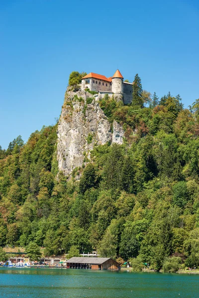 Medieval Bled Castle Blejski Grad Century Lake Bled Blejsko Jezero — Foto de Stock