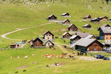 Small village in the Carnic Alps with herd of dairy cows and horses. Mountain peak of Osternig or Oisternig, Italy-Austria Border. Feistritz an der Gail municipality, Carinthia, Austria, Europe.