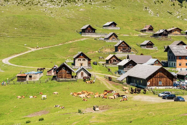 Small Village Carnic Alps Herd Dairy Cows Horses Mountain Peak — Stockfoto