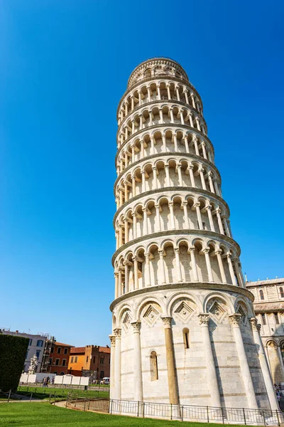 Eğik Pisa Kulesi ve Katedral (Duomo di Santa Maria Assunta), Piazza dei Miracoli (Mucizeler Meydanı). Toskana, İtalya, Avrupa. 