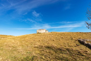 Lessinia Plato Bölgesel Parkı 'nın (Altopiano della Lessinia) sonbahar manzarası. Bosco Chiesanuova belediyesi, Verona, Veneto, İtalya, Avrupa