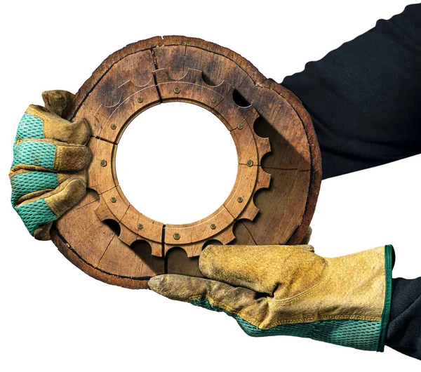 Χέρια Προστατευτικά Γάντια Εργασίας Που Συγκρατούν Διατομή Κορμού Δέντρου Ξύλινο — Φωτογραφία Αρχείου