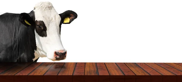 Gros Plan Une Table Bois Vide Une Vache Laitière Blanche — Photo