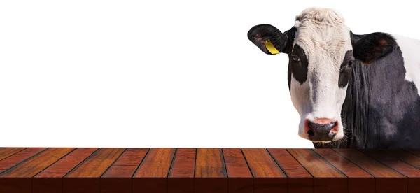 Gros Plan Une Table Bois Vide Une Vache Laitière Blanche — Photo