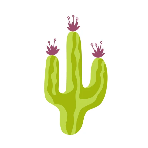 Dibujo de cactus espinoso verde con flores aisladas sobre fondo blanco. Ilustración vectorial — Vector de stock