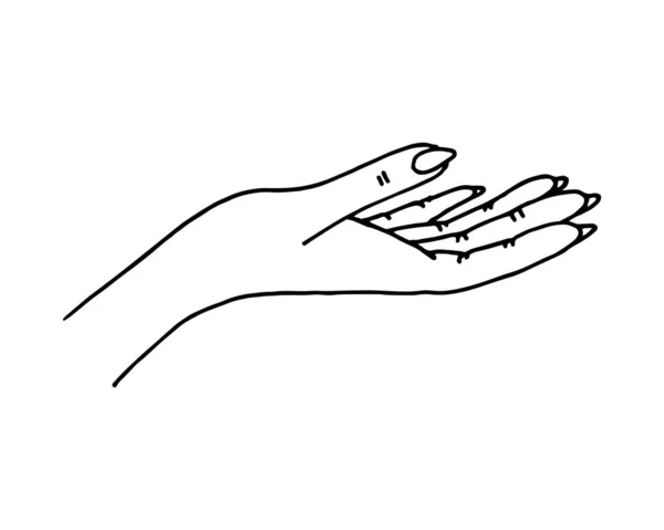 Vrouwelijke handpalm met iets schets. Tekening lijn kunst vector geïsoleerde illustratie — Stockvector