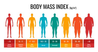 BMI sınıflandırma çizelgesi ölçüm adamı ayarlandı. Erkek Vücut Kütlesi İndeksi. Ağırlık durumu, zayıftan obezlere kadar. Tıbbi kütle kontrol grafiği. Vektör illüstrasyonu