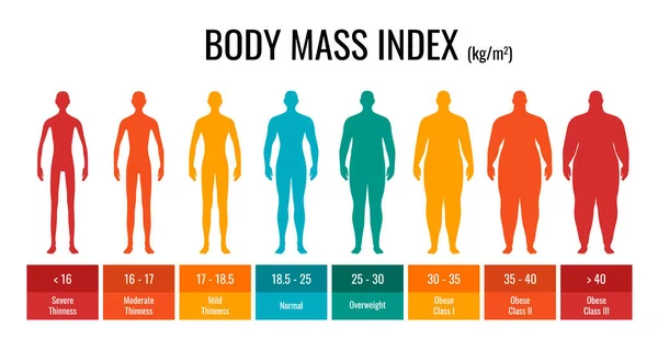 BMI osztályozási táblázat mérés ember készlet. Férfi testtömeg-index infografika testtömeg-státusszal alulsúlytól a súlyosan elhízottig. Orvosi testtömeg-kontroll grafikon. Vektorillusztráció — Stock Vector